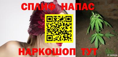спайс Гусев
