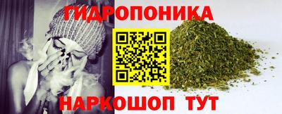 спайс Гусев