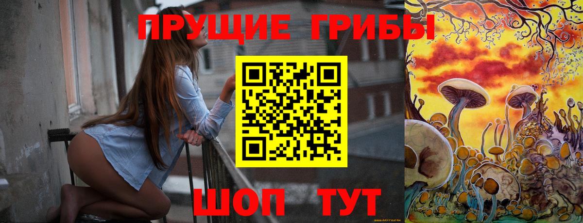 Кондопога  что такое наркотик  Вход с VPN  Псилоцибиновые грибы MAGIC MUSHROOMS 