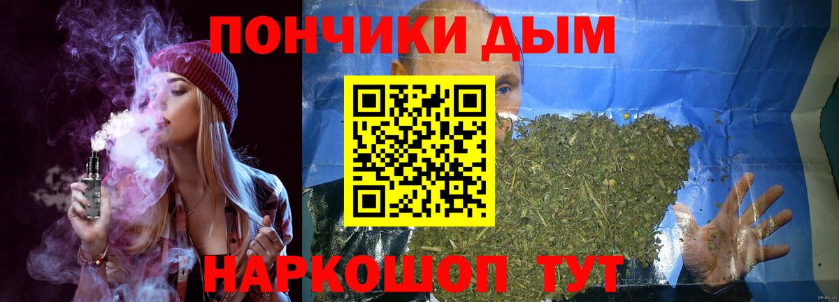 Бошки Шишки марихуана Кондопога